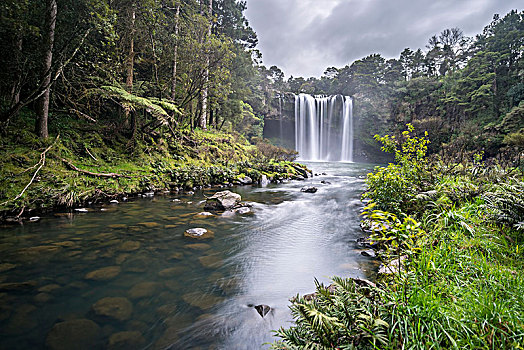 瀑布,彩虹瀑布,河,北国,北岛,新西兰,大洋洲