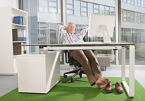 男人,办公室,绿色,地毯