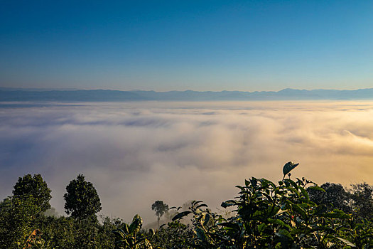 景迈山