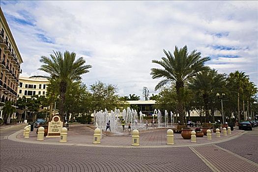 树,靠近,喷泉,西部,棕榈海滩,佛罗里达,美国