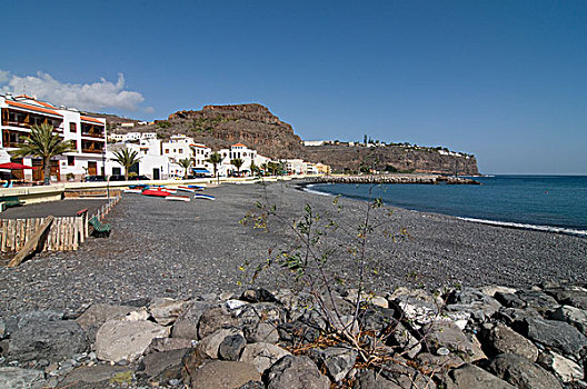 石头,海岸,加纳利群岛,西班牙