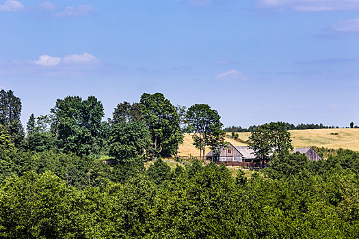 风景,公园,波兰