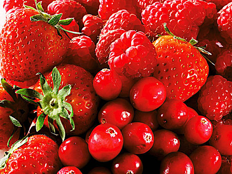 草莓,树莓,蔓越橘