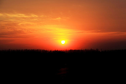 夕阳地平线太阳暖色调