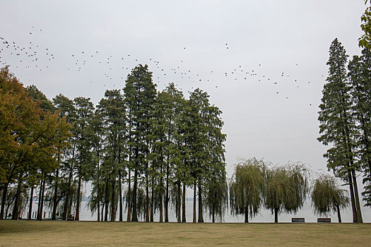 武汉东湖风景区