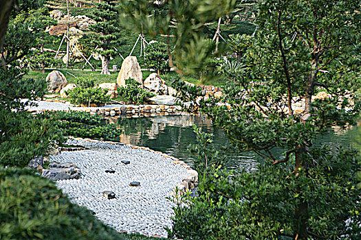 水塘,女修道院,中式花园,山,香港