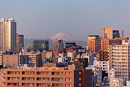 日本,本州,东京,城市天际线,山,富士山