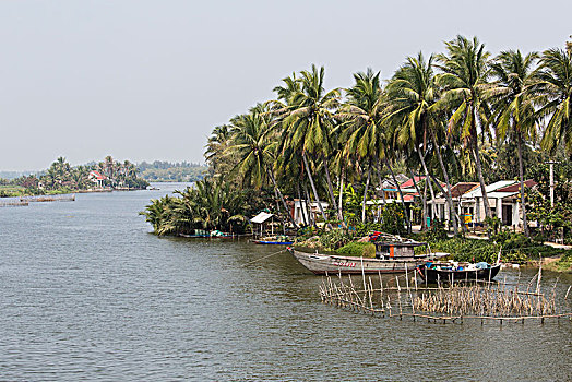 小,渔村,河,排列,棕榈树,户外,城市,会安,越南,照片,桥