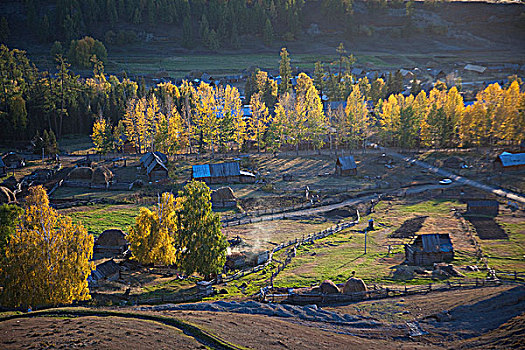 新疆阿勒泰喀纳斯秋天的小村庄