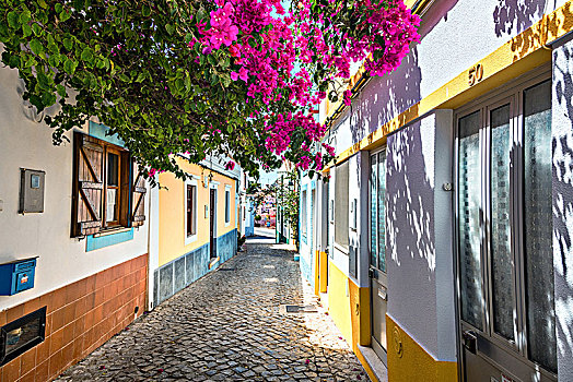 鹅卵石,街道,乡村,阿尔加维,区域,葡萄牙