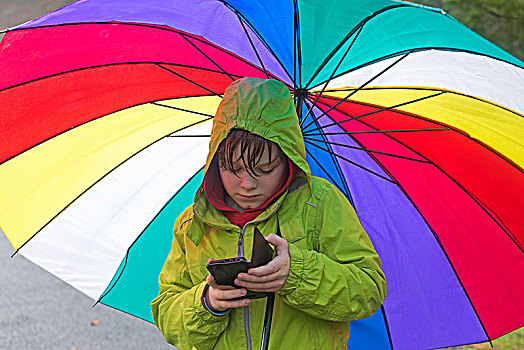 男孩,智能手机,大,彩色,伞,德国,欧洲