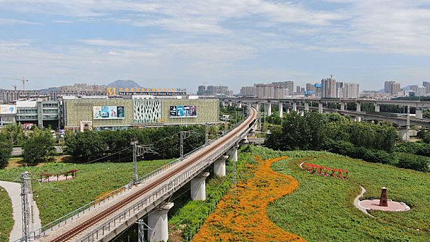 山东省日照市,碳汇公园花团锦簇,市容环境华丽蜕变