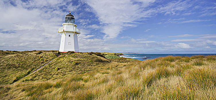 灯塔,南部地区,南岛,新西兰
