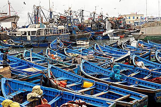 小,蓝色,渔船,拖船,渔港,苏维拉,大西洋海岸,摩洛哥,北非,非洲