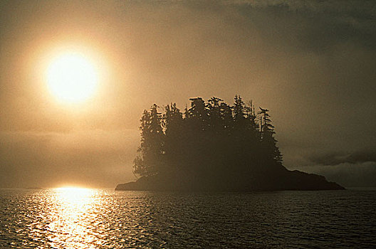 声音,日出,上方,小岛,薄雾,温哥华岛,不列颠哥伦比亚省,加拿大