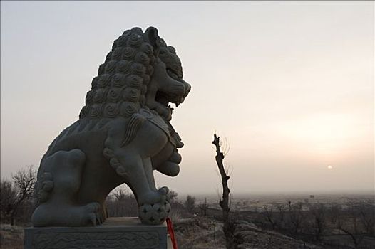 中国,宁夏,省,靠近,银川,狮子,雕塑,日出