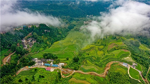 重庆酉阳,云端梯田清晨雾景美