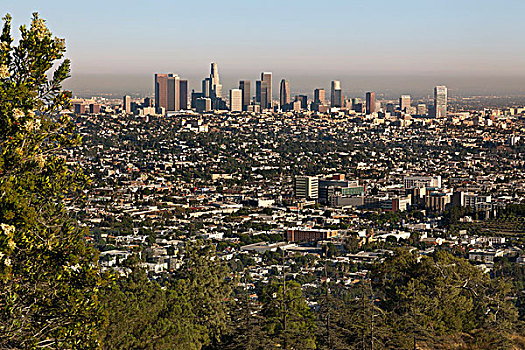 俯视,洛杉矶市区,公园,加利福尼亚,美国