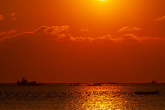 威海黄海日出朝霞满天