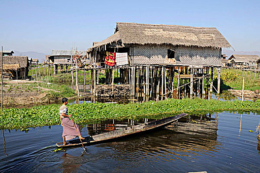腿,桨手,正面,房子,茵莱湖,掸邦,缅甸,东南亚