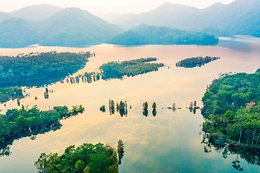 环境保护湿地