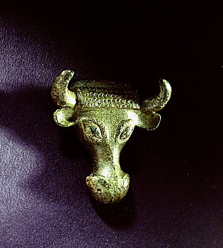 青铜,牛科动物,头部