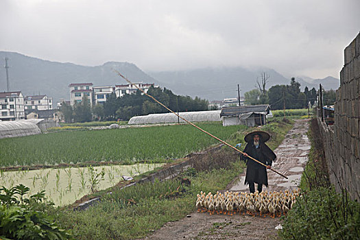 云河古村