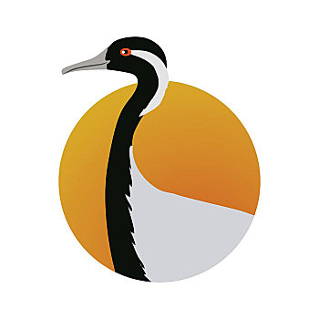 蓑羽鶴,設計,矢量,插畫,水鳥,野生動物,概念,風格,歐亞大陸,動物,百科全書,孩子,書本,漂亮,鶴,鳥,象征