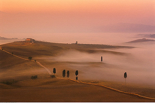晨雾,托斯卡纳,风景,靠近,皮恩扎,意大利