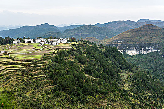 花溪高坡