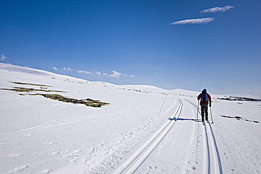 男人,滑雪,向上,山,国家公园,挪威