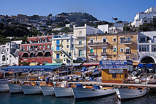 泊船,港口,卡普里岛,那不勒斯湾,那不勒斯省,坎帕尼亚区,意大利