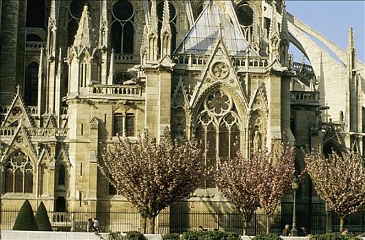 法国,巴黎,圣母大教堂,建筑
