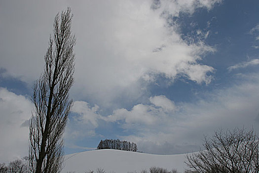 日本,北海道,美瑛,冬季风景