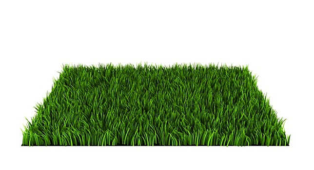 草,草坪