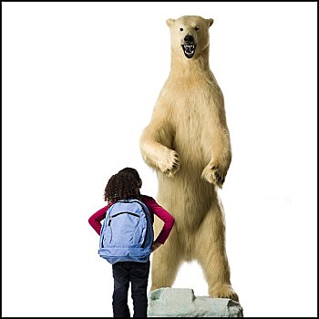 后视图,女孩,北极熊