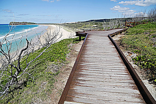 澳大利亚,人行道,海滩,赫维湾,弗雷泽岛,乐园,概念,放松
