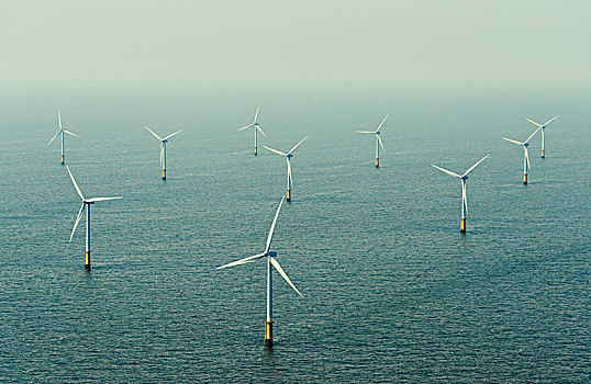 风电场,艾默伊登,荷兰北部,荷兰