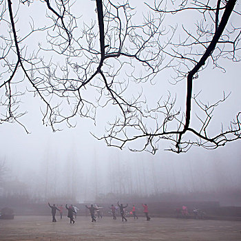 雾中运动的人们