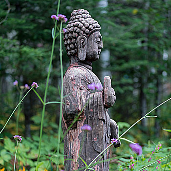 佛像,花园,湖,木头,安大略省,加拿大