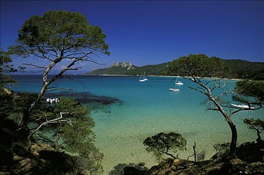法国,波克罗勒岛,帆船,蓝绿色海水,松树
