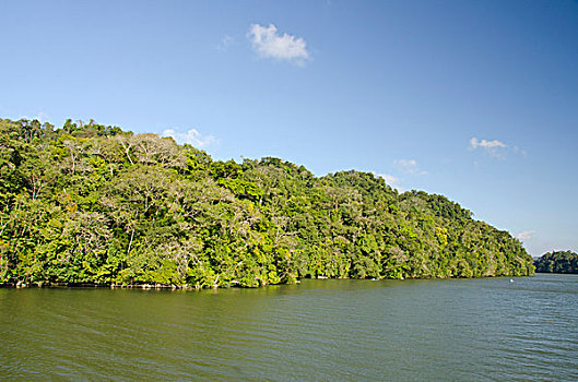 危地马拉,国家公园,可爱,河,加勒比海,湖
