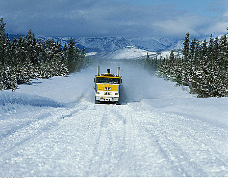 卡车,积雪,道路,北方,不列颠哥伦比亚省,加拿大