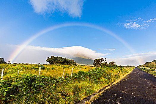 自然,公路,彩虹,高处,云,皮库岛,亚速尔群岛,葡萄牙