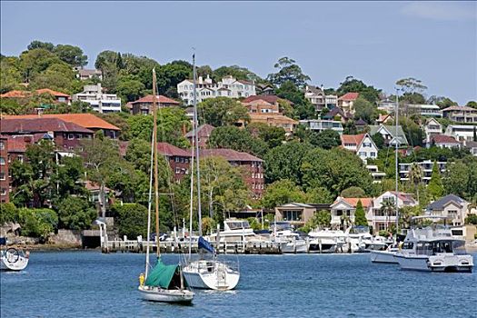 澳大利亚,新南威尔士,游艇,住宅,一对,湾,悉尼港