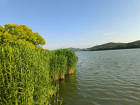 太湖风光,海岛