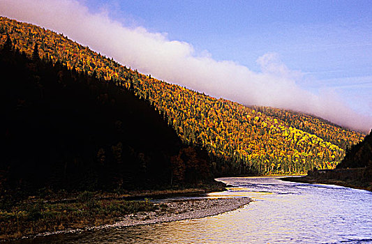 秋色,河,魁北克,加拿大