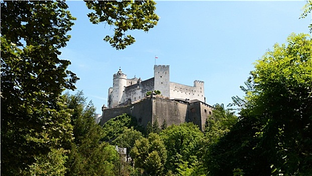 霍亨萨尔斯堡城堡,框架,树,萨尔茨堡