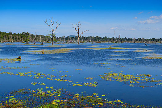 柬埔寨吴哥古城龙蟠水池