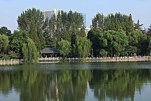 公园,湖泊